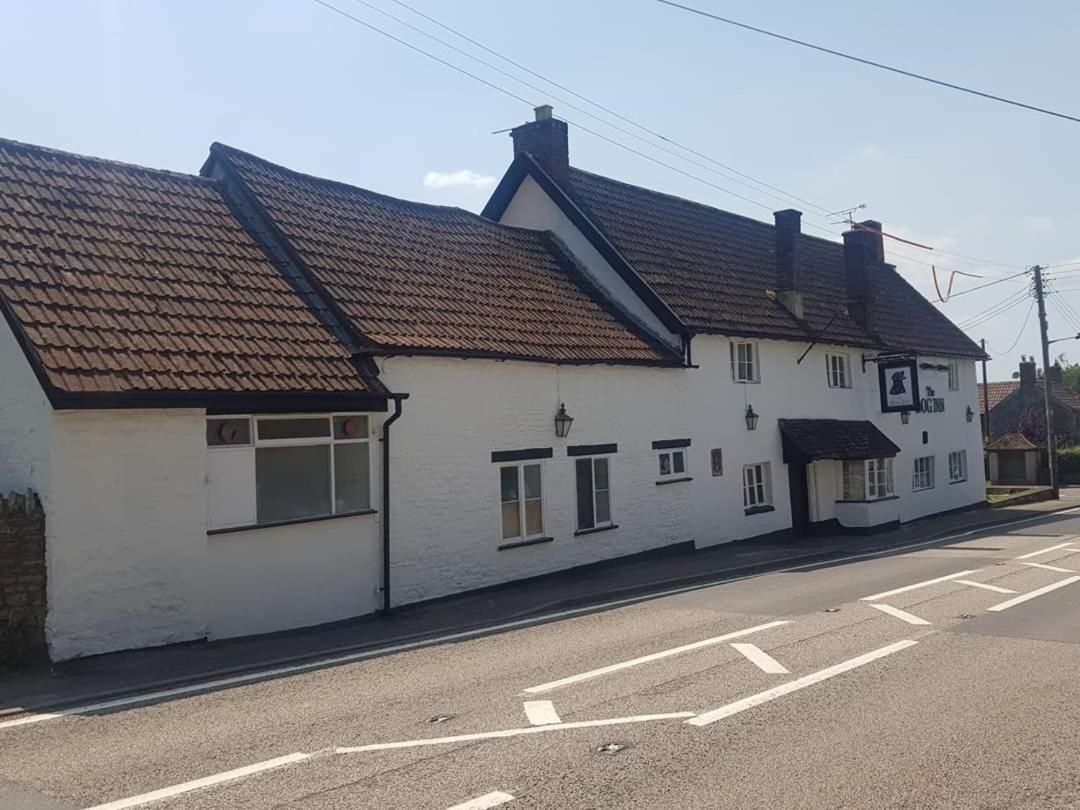 The Dog Inn Old Sodbury Eksteriør billede